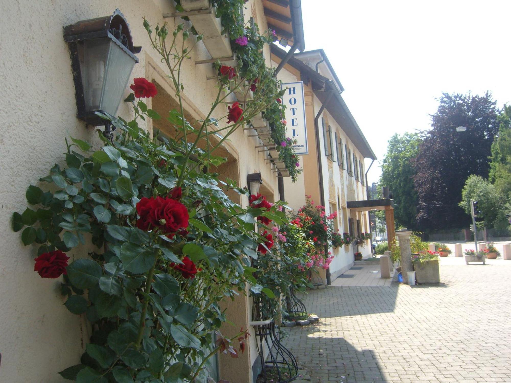 Hotel Gasthof Stern Mindelheim Exteriér fotografie